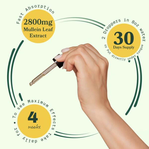 Ingredientes naturales del pack BetterLungs para bienestar respiratorio