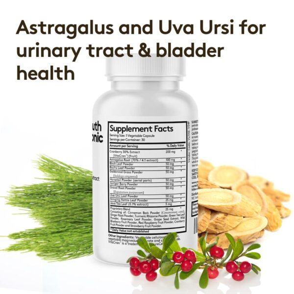 Suplemento para función hepática y renal saludable