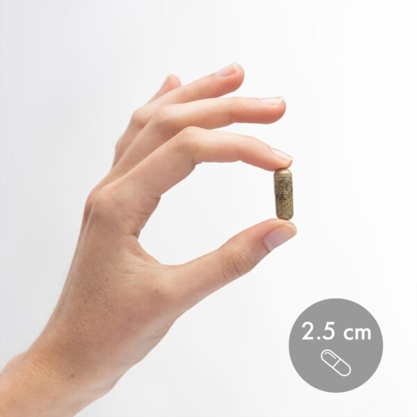 Detalle ingredientes suplemento Dr. Mercola