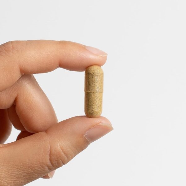 Detalle cápsulas fórmula colon herbales Food Over Drugs