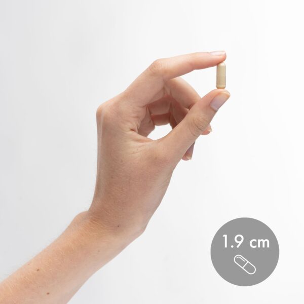 Frasco y cápsulas Dr Mercola Enzimas