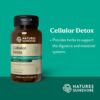 Frasco de Nature's Sunshine Cellular Detox 100 cápsulas para detox digestivo Frasco de Nature's Sunshine Cellular Detox 100 cápsulas para detox digestivo