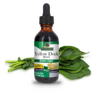 Extracto dock amarillo Nature's Answer botella 1oz natural y sin alcohol Extracto dock amarillo Nature's Answer botella 1oz natural y sin alcohol