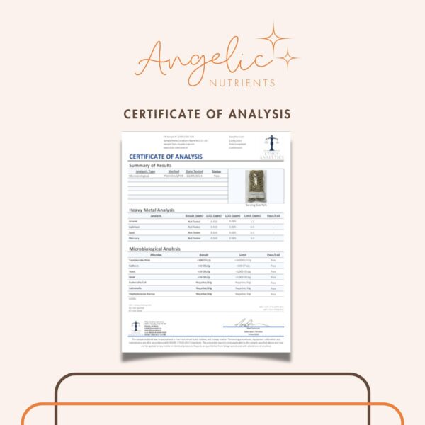 Cerca de las cápsulas de Caralluma Fimbriata