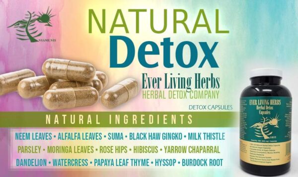 Caja y envase Ever Living Herbs cápsulas desintoxicantes herbal