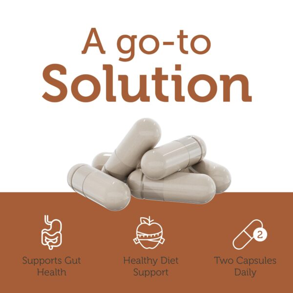 Suplemento Zahler Vinagre Sidra Manzana y Fibra 60 cápsulas