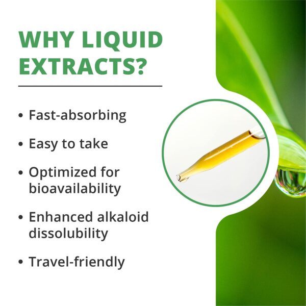 Set NutraMedix para detox natural y limpieza con extractos botánicos Set NutraMedix para detox natural y limpieza con extractos botánicos