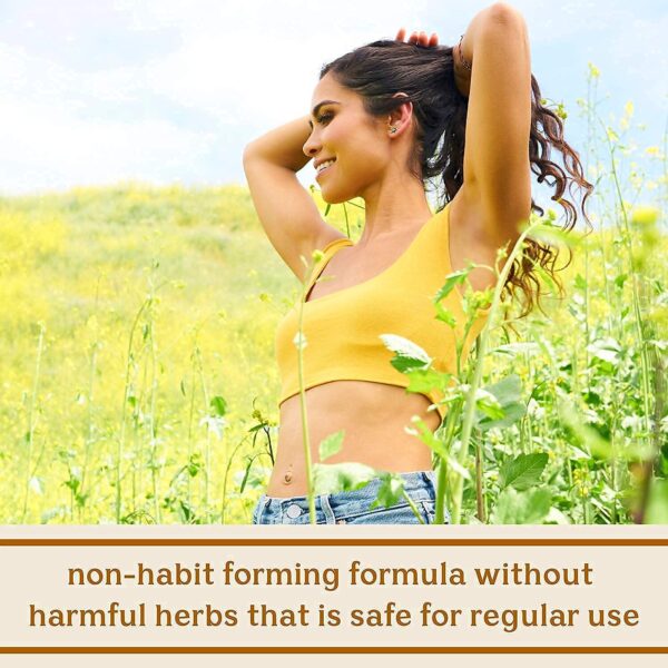 Kit para soporte digestivo natural y equilibrio intestinal