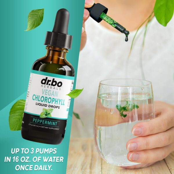 Desintoxicación intestinal con ingredientes naturales