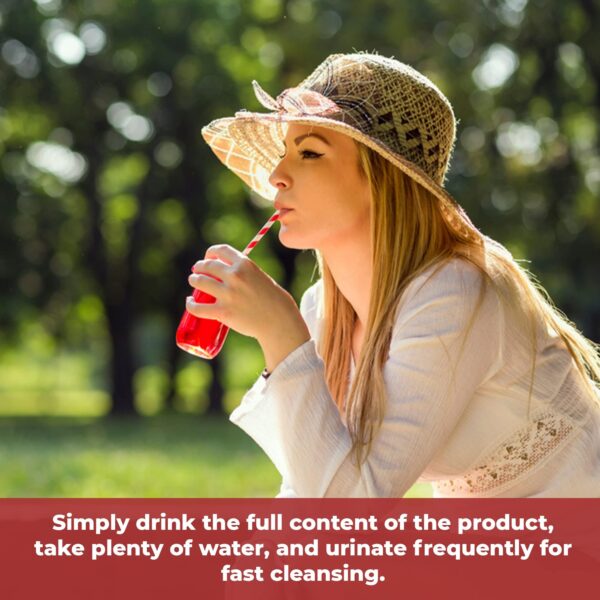 Wellgenix Omni Detox bebida limpieza rápida sistema 16 onzas