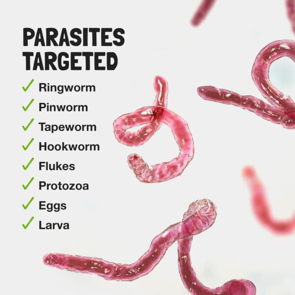 Envase y caja exteriores