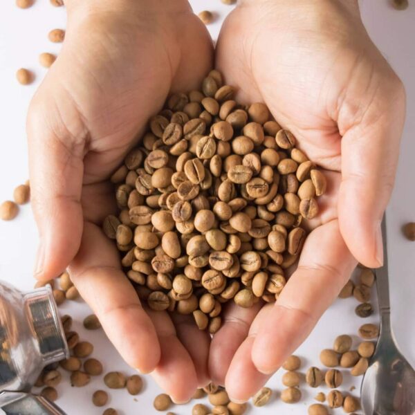 Café enema Cor-Vital ecológico certificado USDA 5 libras