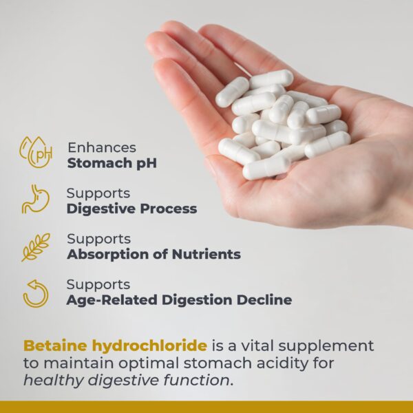 Suplemento Premier HCL betaina para función digestiva mejorada