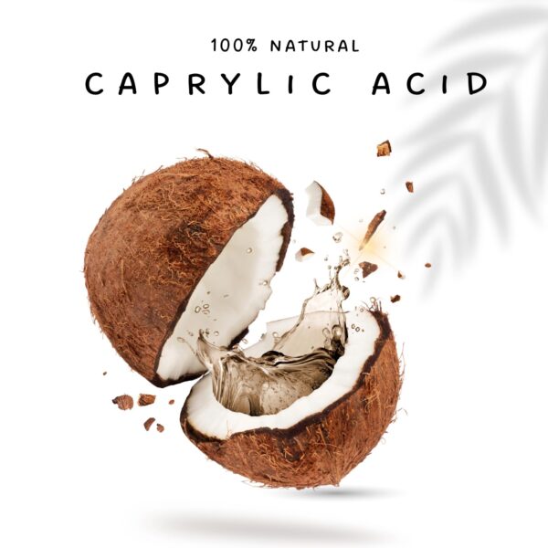 Suplemento cápsulas OLANTA TRADE SOLUTION detox y candida