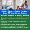 Paquete Kidney Restore y Kidney Shield para apoyo renal completo