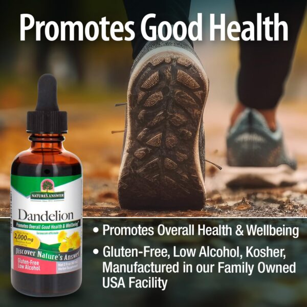 Close up botella extracto raíz diente de león para hígado