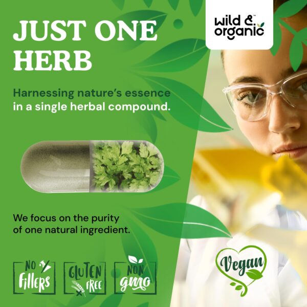 Suplemento natural de cilantro para desintoxicación