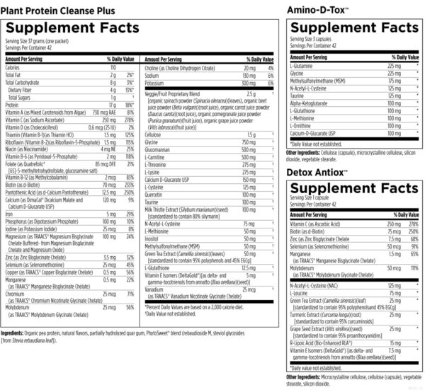 Guía del programa de detoxificación 21 días Designs for Health