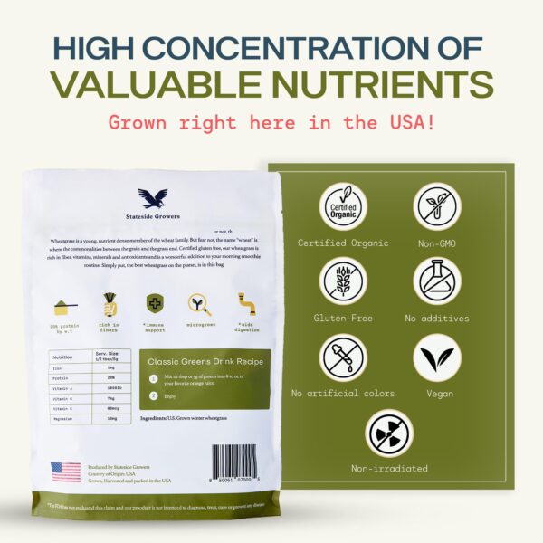 Cucharada con polvo de pasto de trigo orgánico Stateside Growers