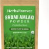 Polvo orgánico Bhumy Amalaki 230g Herbsforever