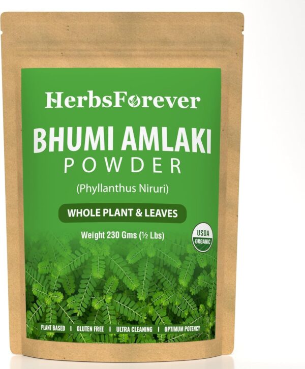 Polvo orgánico Bhumy Amalaki 230g Herbsforever
