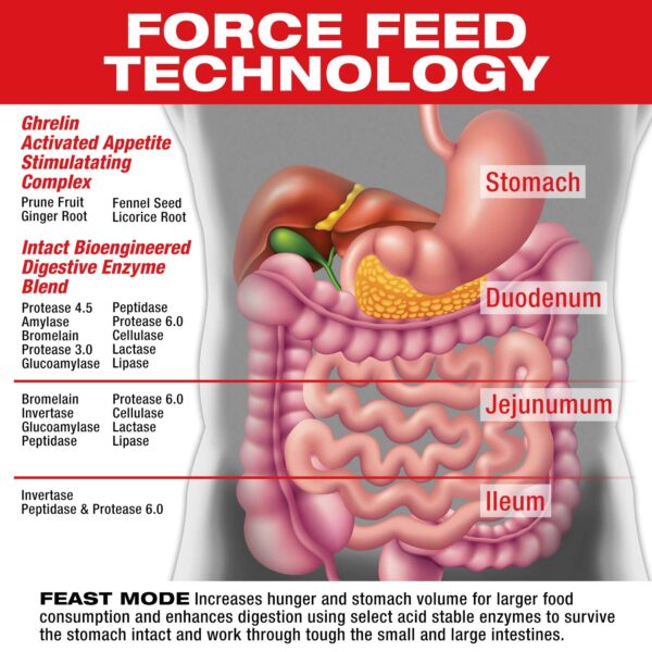 Etiqueta del suplemento MuscleMeds Feast Mode para aumentar peso