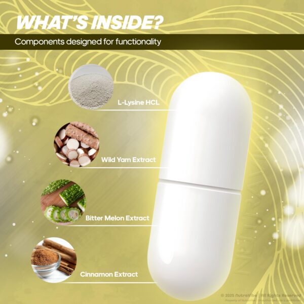 Instrucciones de uso Femme Q10 Power