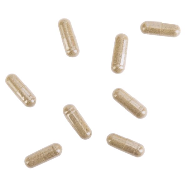 Detalle frontal del envase fórmula Candida #2 Kroeger Detalle frontal del envase fórmula Candida #2 Kroeger