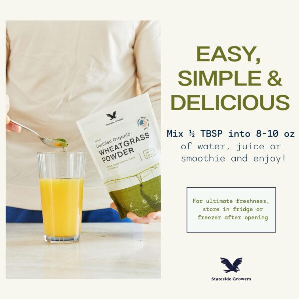 Hierba de trigo orgánica en su forma natural y polvo