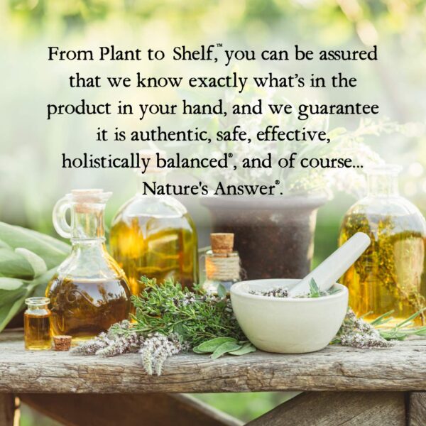 Extracto root dock amarillo Nature's Answer sin gluten vegan