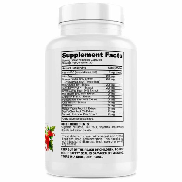 Etiqueta suplemento Genius Herbals para ácido úrico y riñón