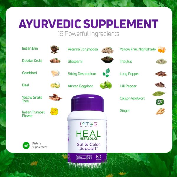 caja Intus Heal suplemento digestivo ayurvedico 60 tabletas