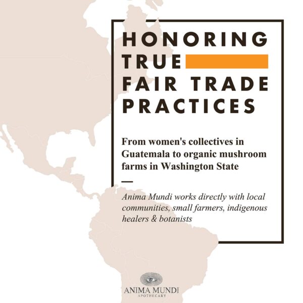 Belly Love suplemento con ingredientes naturales para digestión