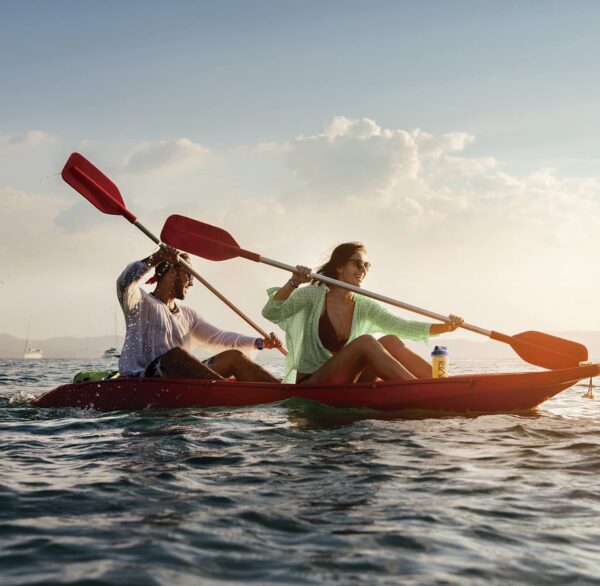 Detalle ingredientes y variedad sabores reto VIVRI 10 días