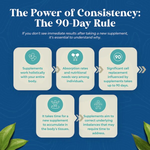 Componentes antioxidantes en paquete DR VITAMIN SOLUTIONS