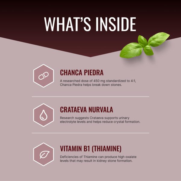 Cápsulas Stonexyl para salud renal y eliminación de piedras