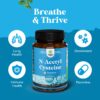 Cápsulas de NAC 600mg para sistema inmunológico y detox