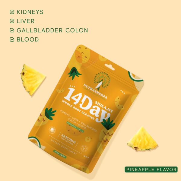 polvo nutricional shilajit para salud y bienestar general