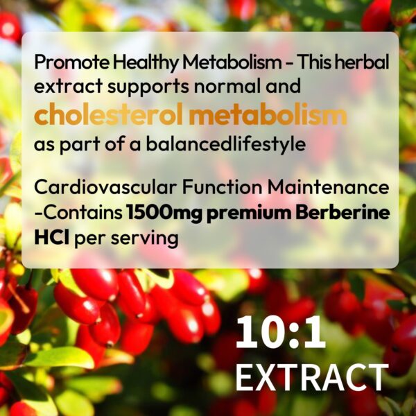 Detalle cápsulas suplemento NEOGLI berberina alta absorción