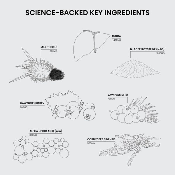 Cápsulas Nutriissa Cycle Support salud prostática y reproductiva