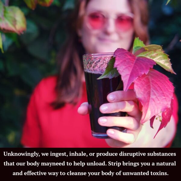 Detox bebida herbal limpia toxinas Wellgenix