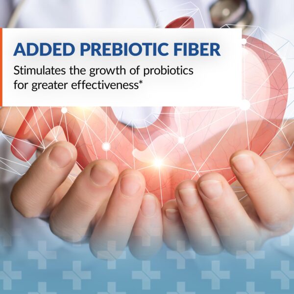 Paquete Syntol 3 en 1 con probióticos prebióticos y enzimas