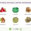Infusión nocturna té detox Teami para limpieza corporal
