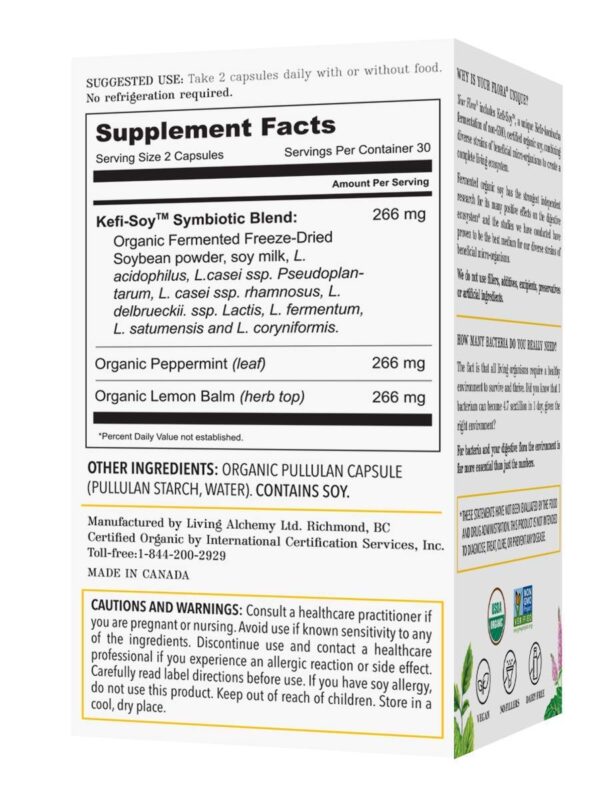 Ingredientes naturales fermentados en suplemento Your Flora