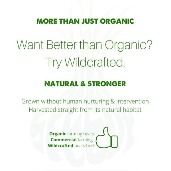 SpeedyVite suplemento renal gotas presentacion completa