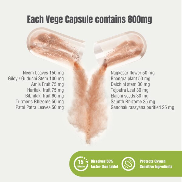 Suplemento Silfina MTL Detox para sistema inmune y digestivo