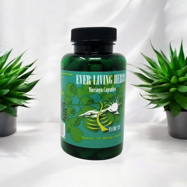Etiqueta de producto Ever Living Herbs Moringa Hoja