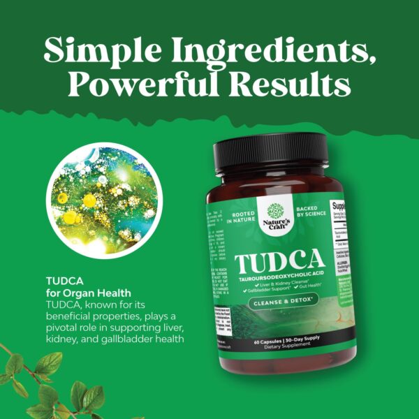TUDCA para digestión salud intestinal y energía mejorada