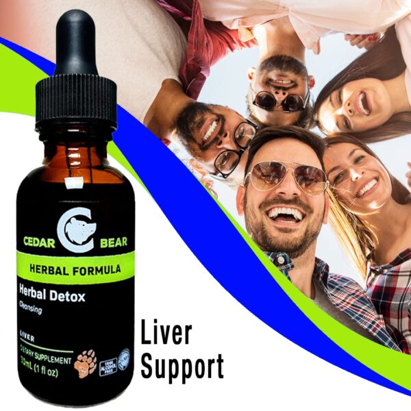 Suplemento herbal para detox y antioxidantes Cedar Bear
