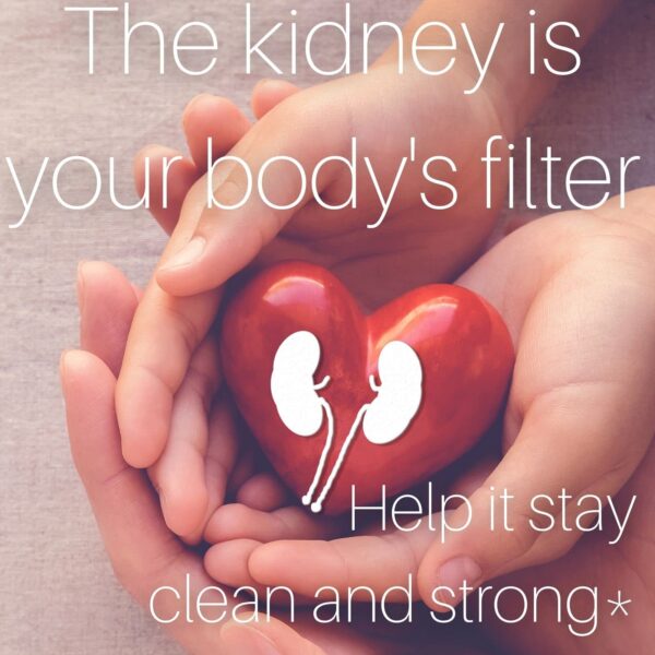 Taza con té SpeedyVite salud renal y urinaria orgánico